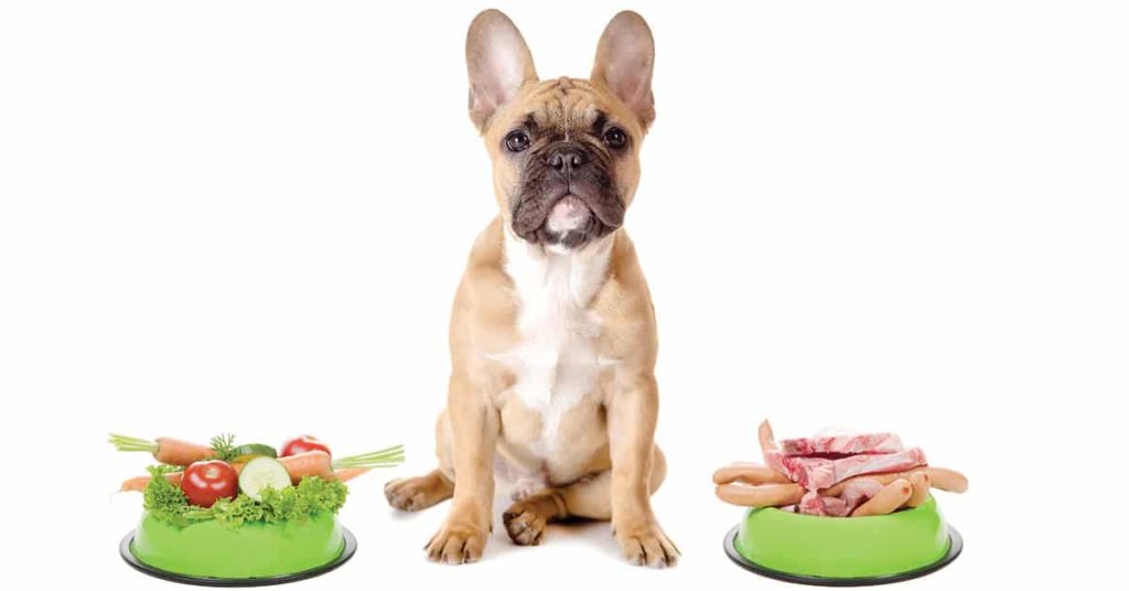Dog nutrition and behavior