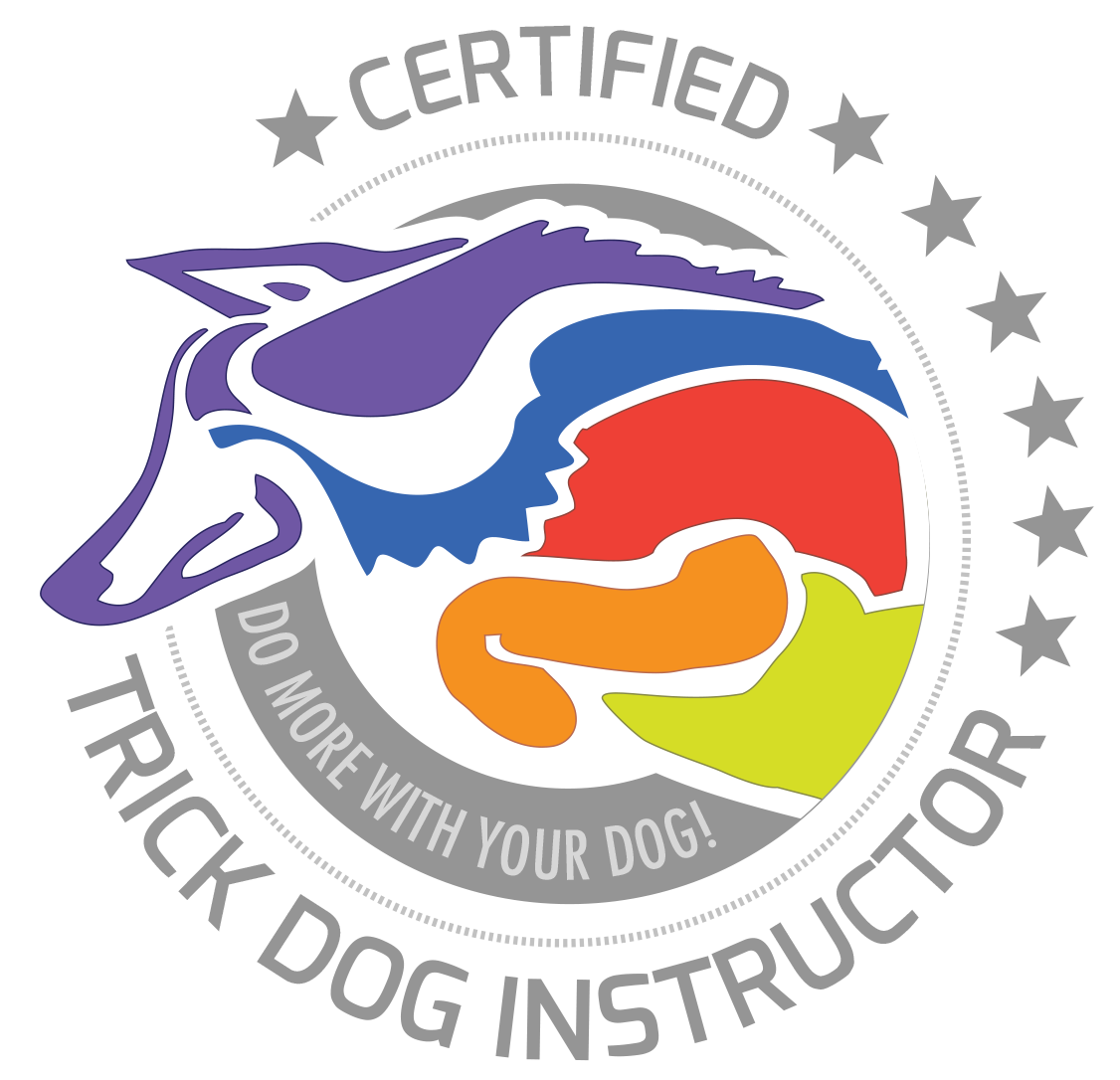 certified trick dog trainer