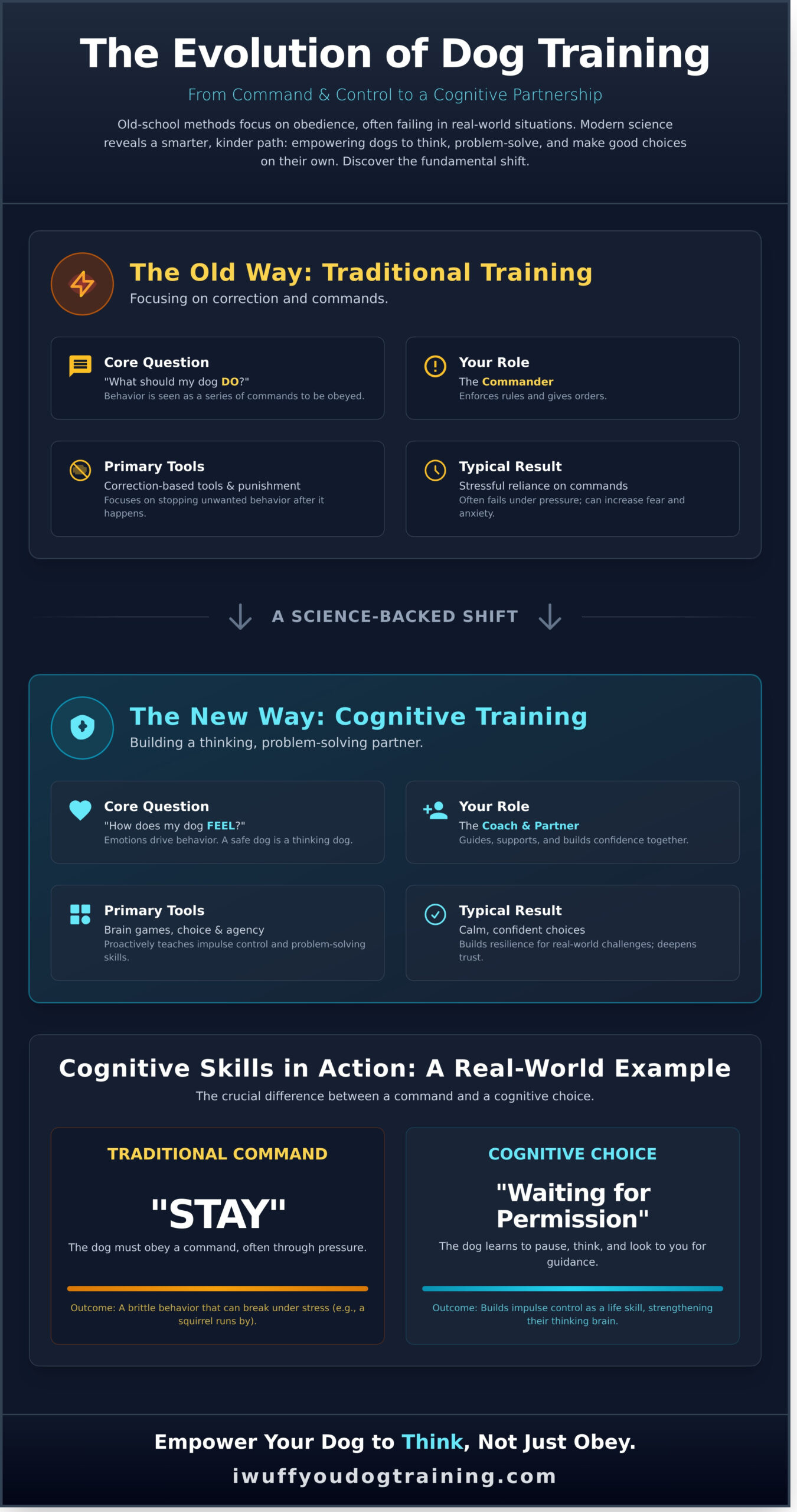 Cognitive Dog Training in Worcester, MA: A Smarter Way to Build a Bond in 2026 - Infographic