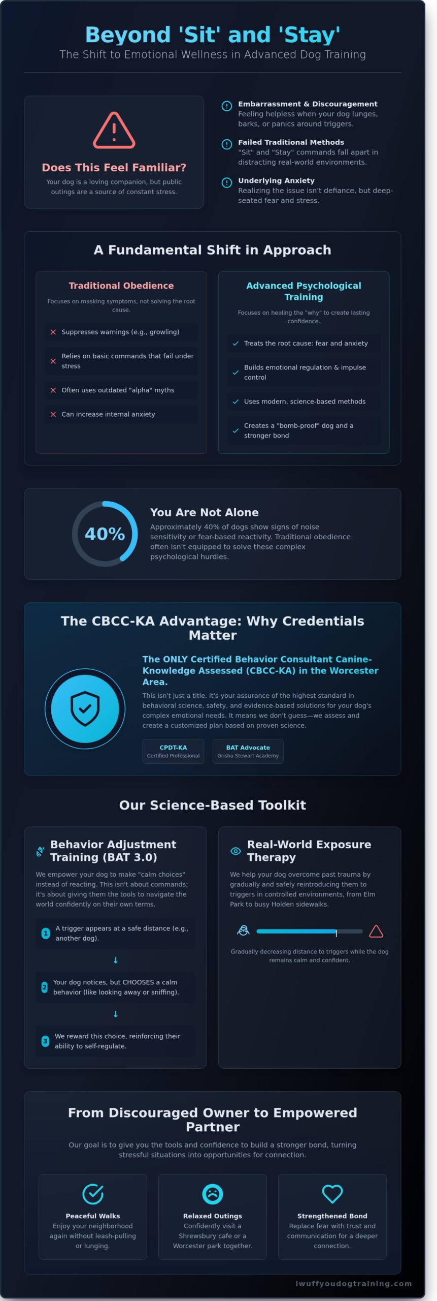 Advanced Dog Training in Central MA: Beyond Obedience to Canine Emotional Wellness - Infographic