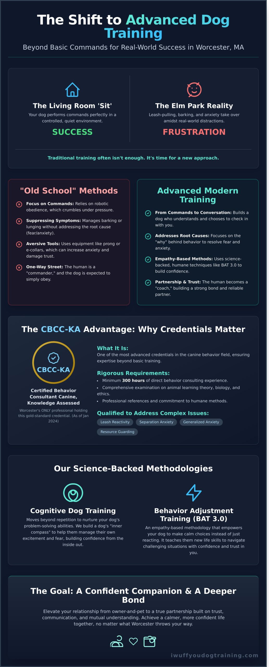 Advanced Dog Training in Worcester, MA: Real-World Skills for the Modern Dog Parent - Infographic