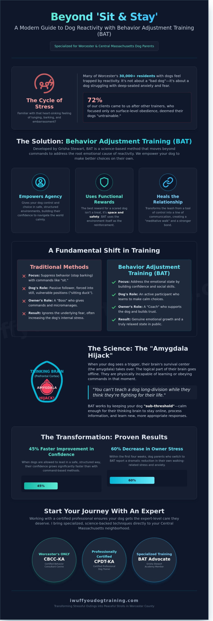 Behavior Adjustment Training (BAT) in Worcester & Holden: A Compassionate Guide for Reactive Dogs