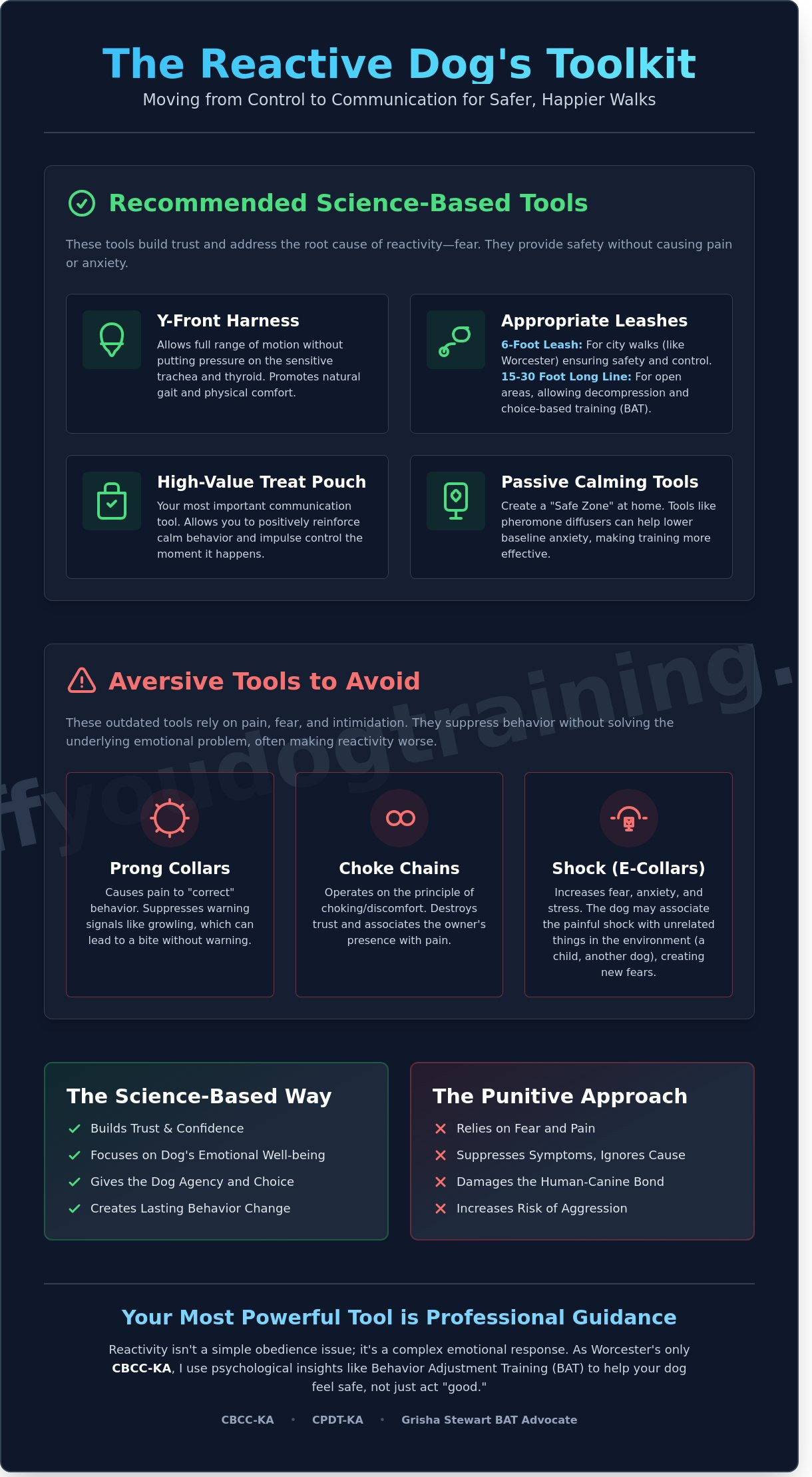 Essential Dog Training Tools for Worcester Parents: A Science-Based Guide to Gear and Behavior - Infographic