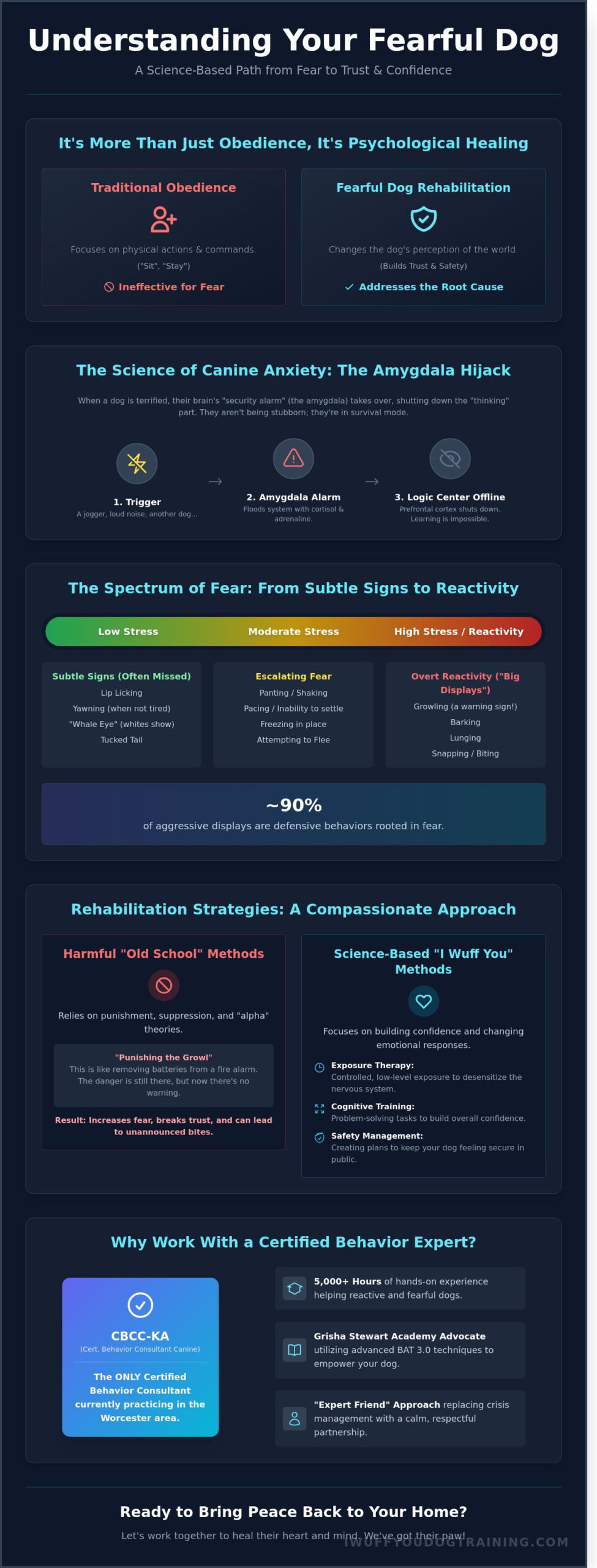 Fearful Dog Rehabilitation in Worcester & Holden, MA: A Science-Based Guide