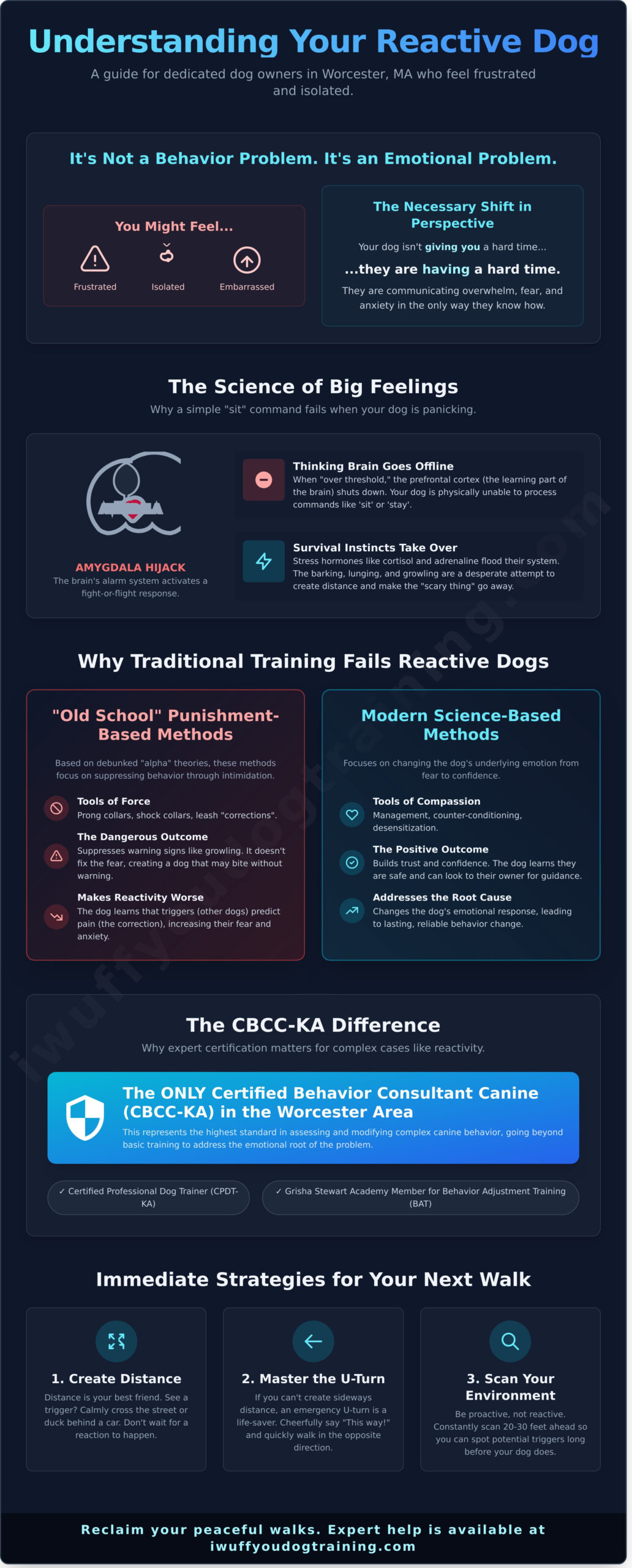 ‘Help, My Dog is Reactive!’ – A Compassionate Guide for Worcester, MA Dog Parents - Infographic