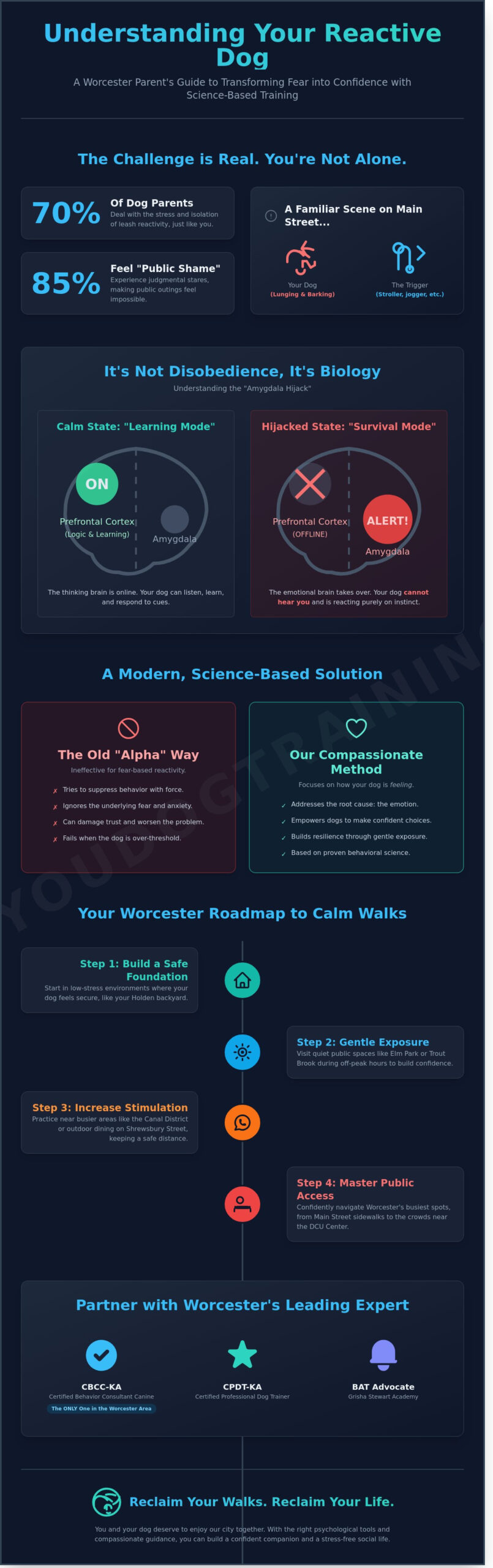 Public Access Dog Training in Worcester: A Compassionate Guide to Real-World Calm - Infographic