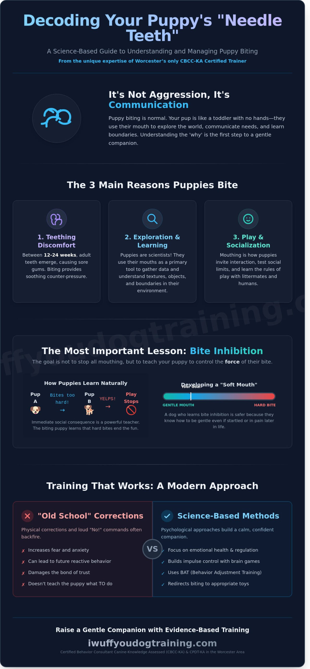 Puppy Biting in Worcester: A Compassionate Guide to Training Your Mouthy Pup