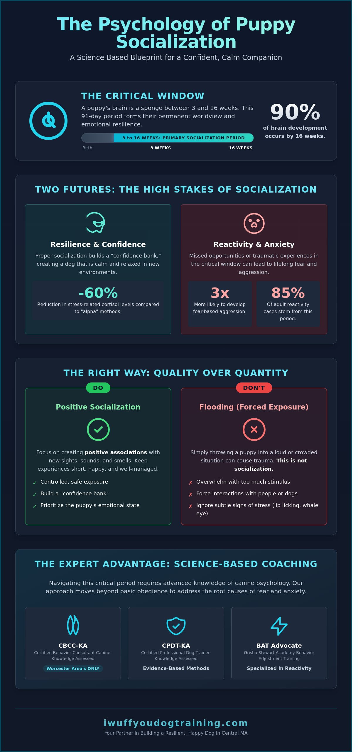 Puppy Socialization in Central MA: Raising a Confident, Calm Companion - Infographic