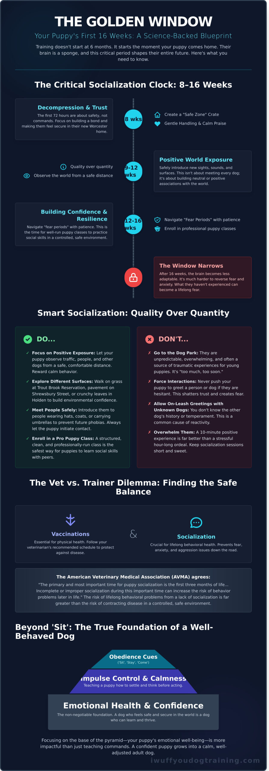 When to Start Puppy Training in Worcester, MA: A Science-Based Timeline for Dog Parents - Infographic