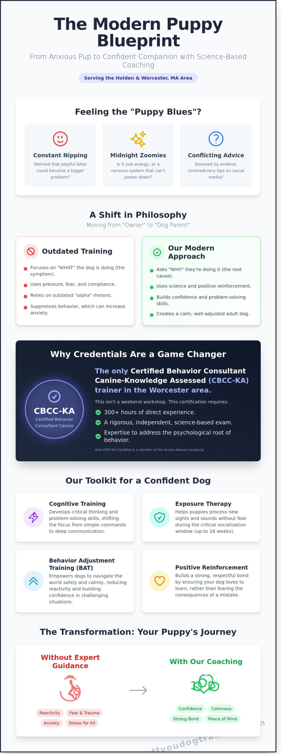 Puppy Training Classes Near Me in Holden: Choosing the Right Start for Your Furry Baby