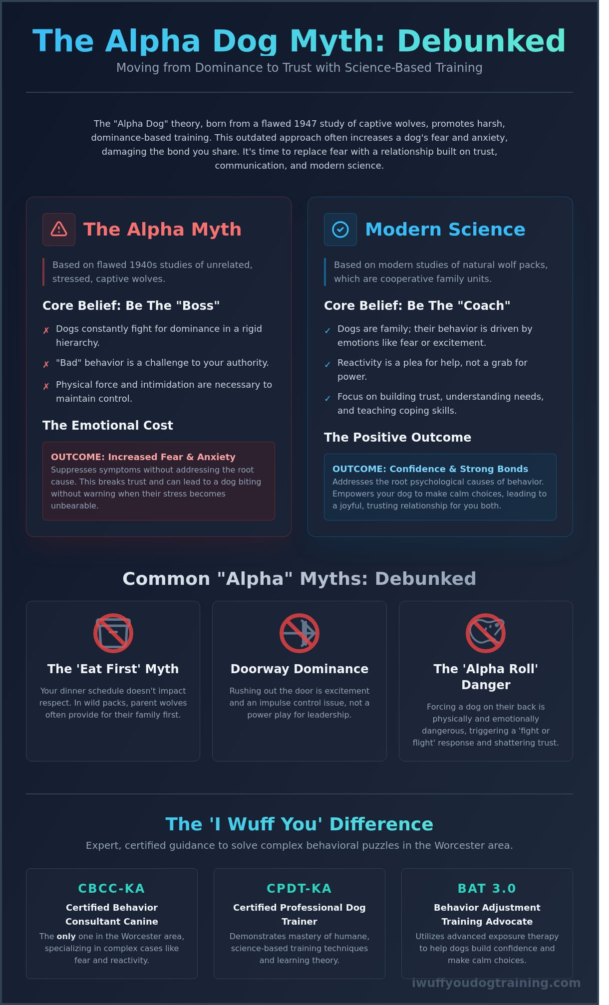 Alpha Dog Theory: Why This Outdated Myth Harms Worcester’s Reactive Dogs