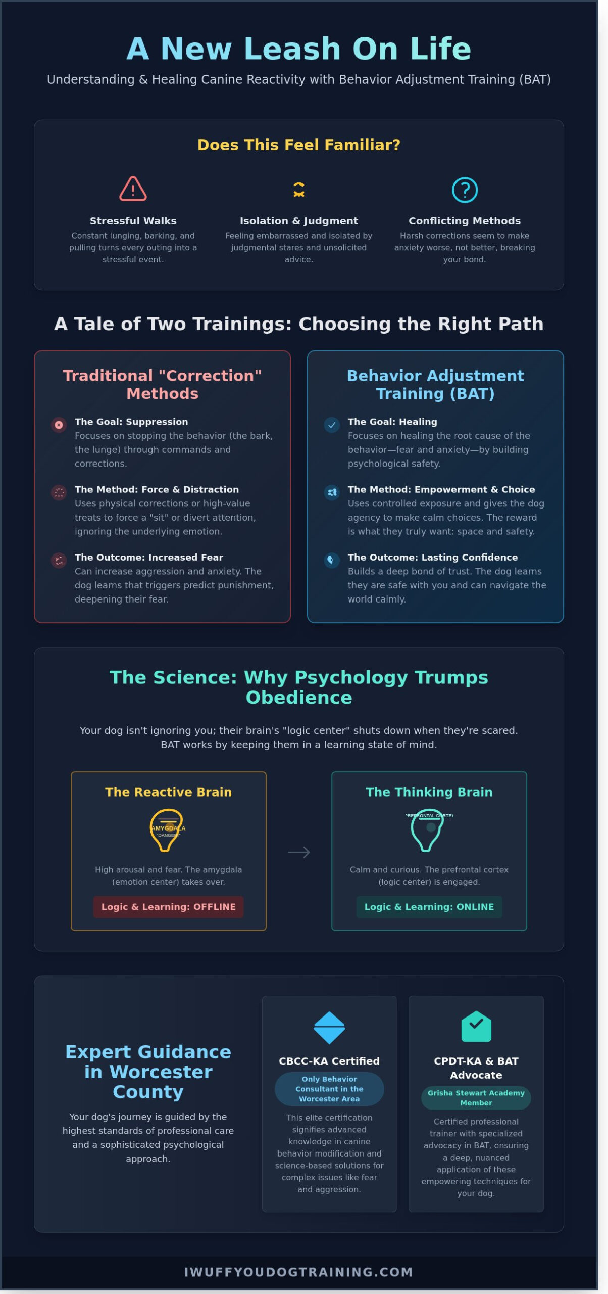 Behavior Adjustment Training in Worcester & Holden: A Compassionate Guide for Reactive Dog Parents