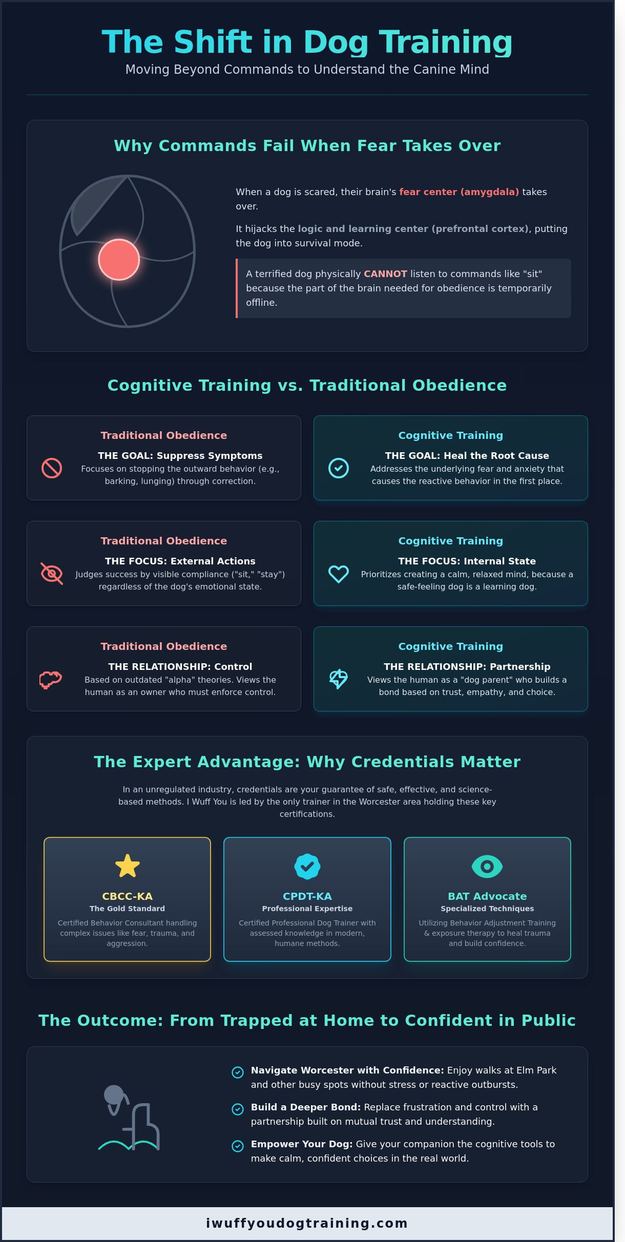 Cognitive Dog Training in Worcester: A Psychological Approach to Fear and Reactivity