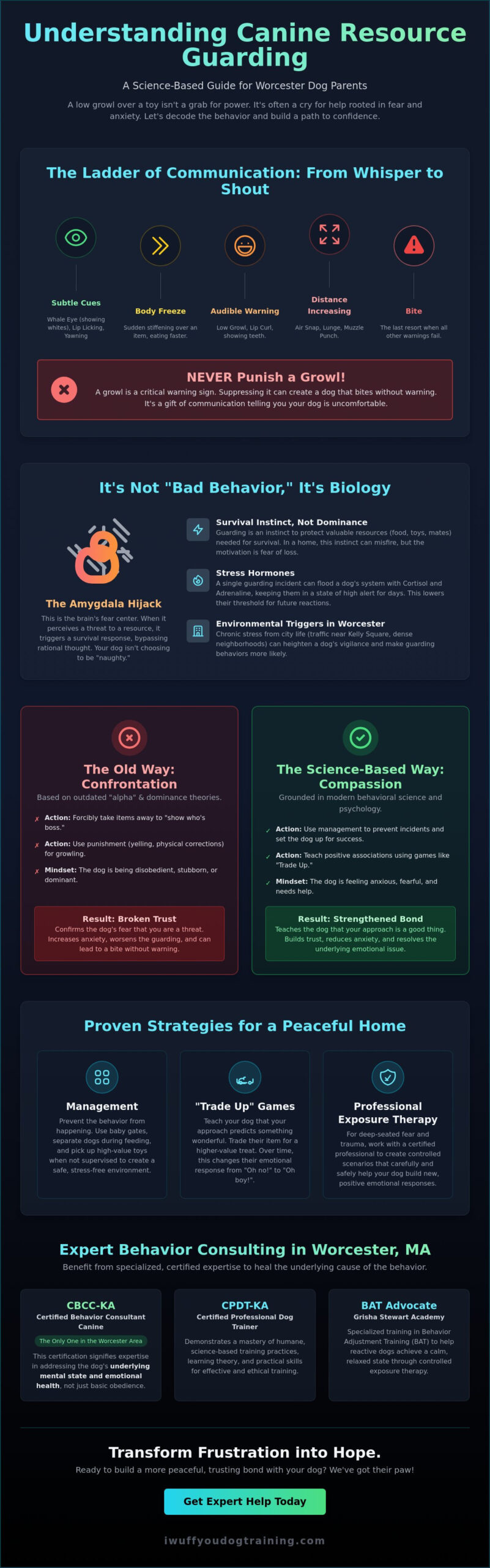 Cognitive dog training in Worcester MA