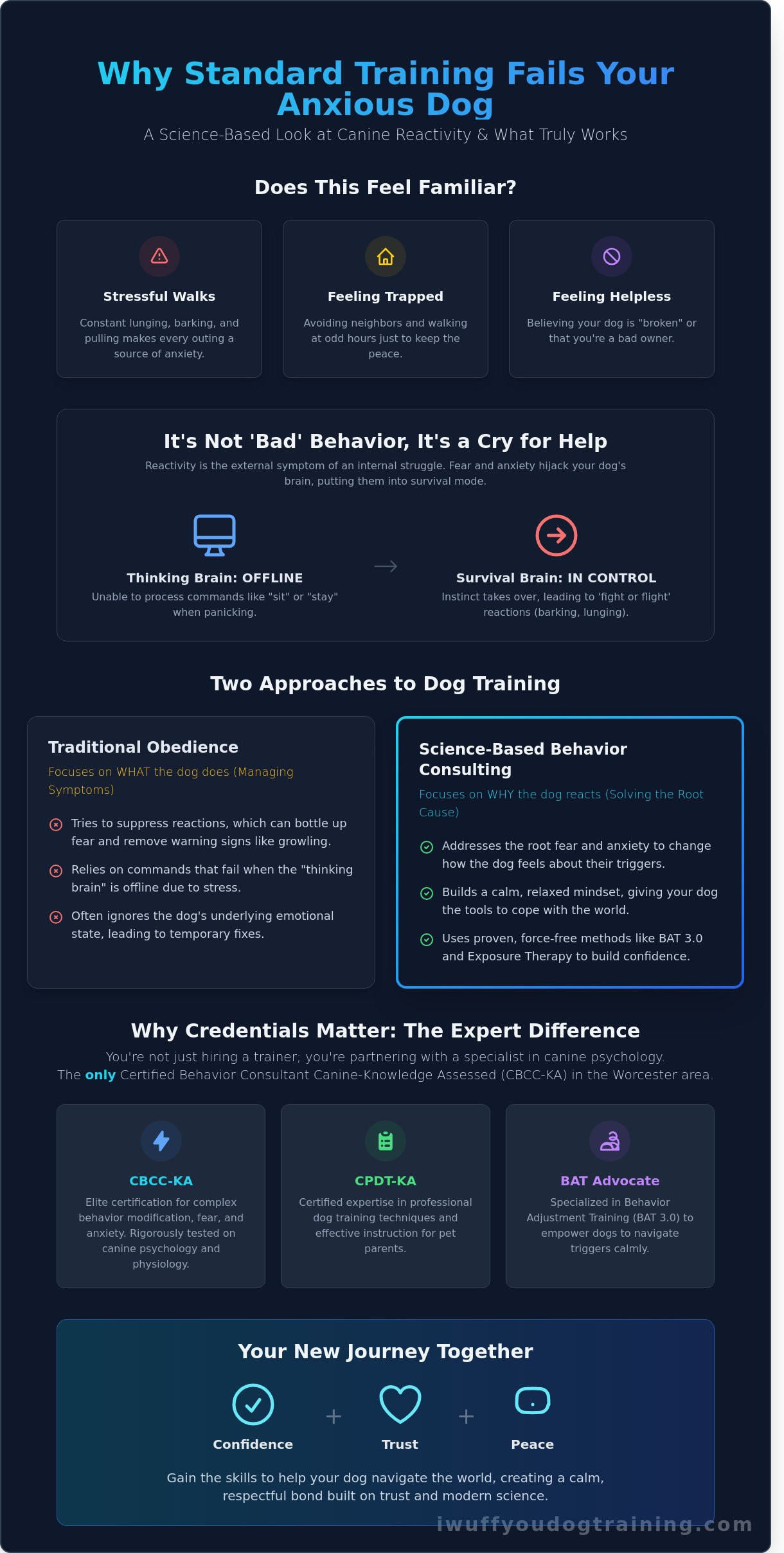 Expert Dog Trainer Near Me: Professional Behavior Consulting in Worcester & Holden