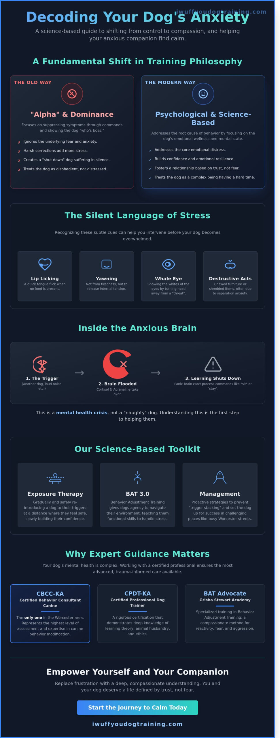 Helping a Dog with Anxiety in Worcester & Holden: A 2026 Guide to Canine Emotional Wellness