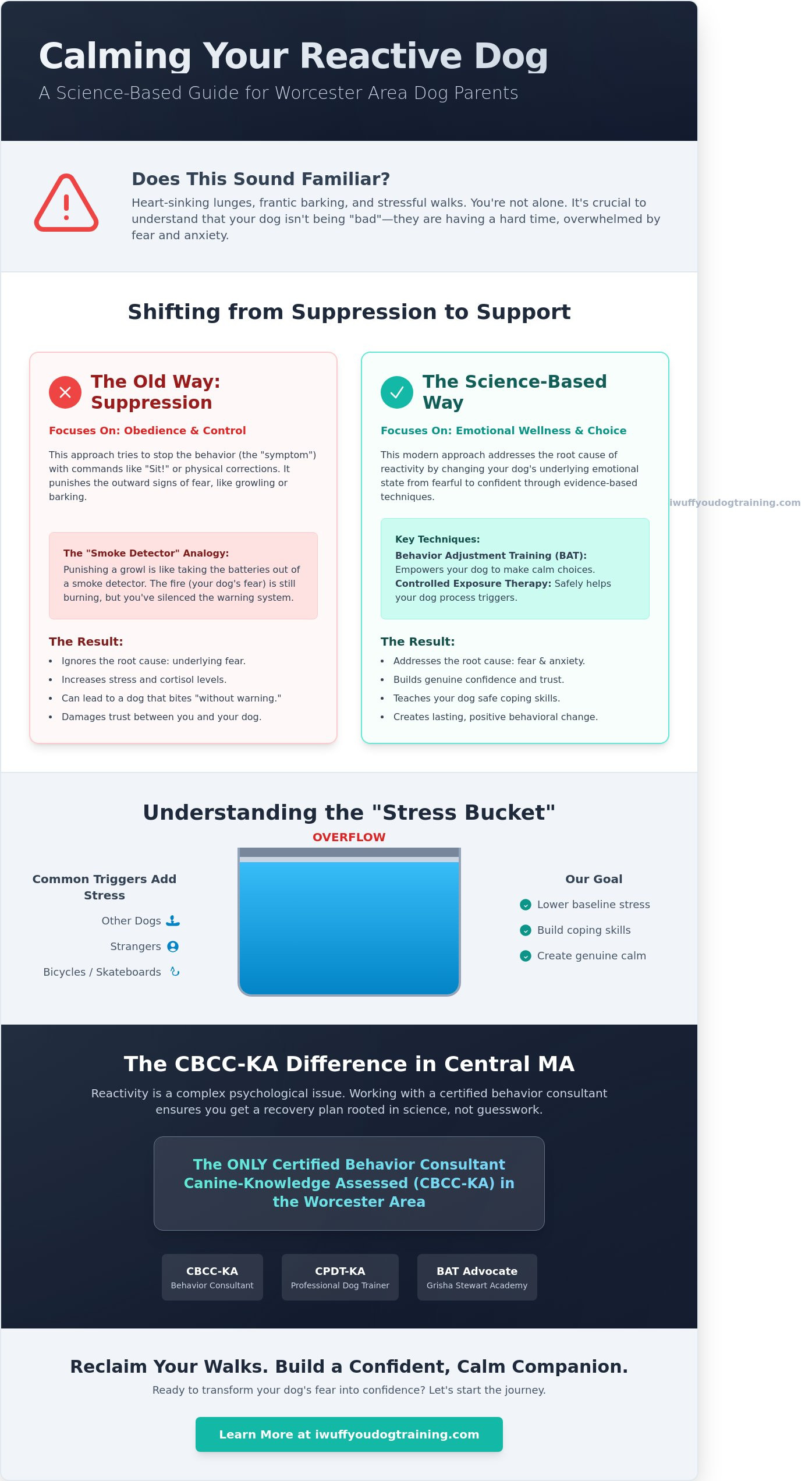 How to Calm a Reactive Dog in Worcester & Holden: A Science-Based Guide