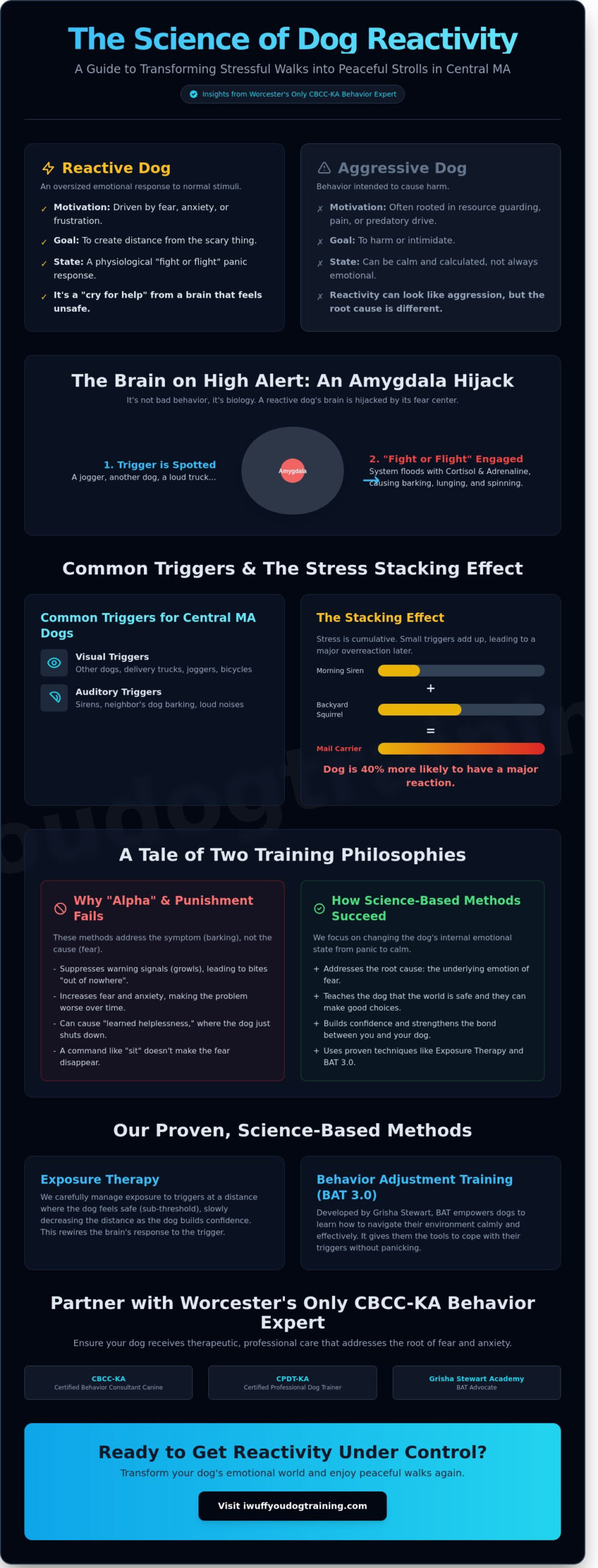 How to Get Dog Reactivity Under Control in Worcester: A Parent’s Guide to Calm
