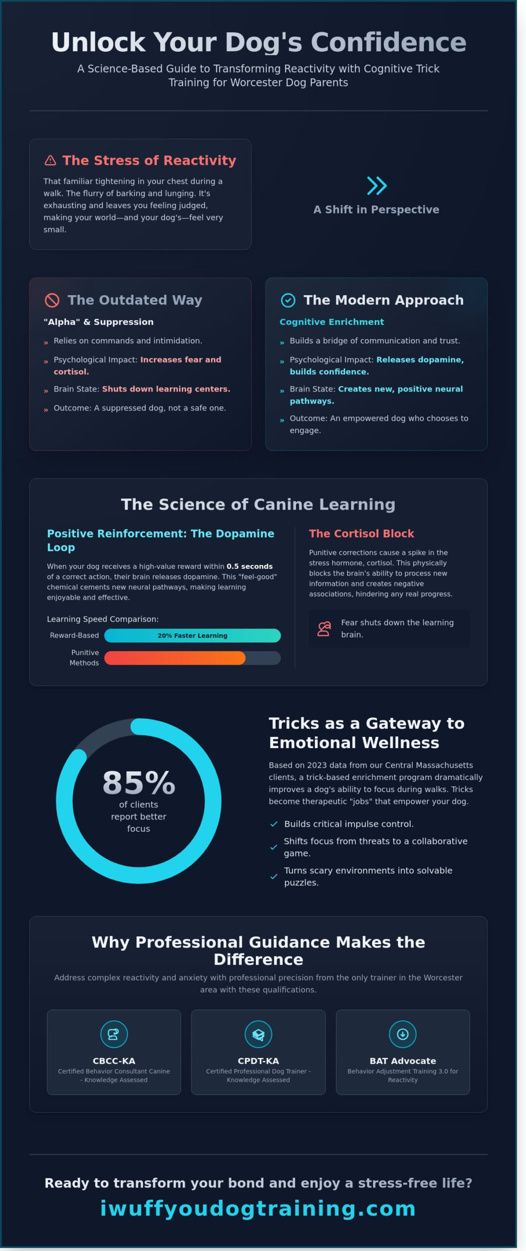 How to Learn Dog Tricks in Worcester: A Confidence-Building Guide for Dog Parents