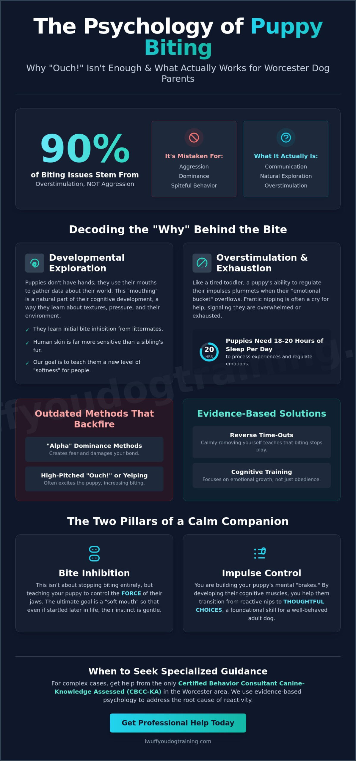 How to Stop Puppy Biting in Worcester: A Science-Based Guide for Dog Parents