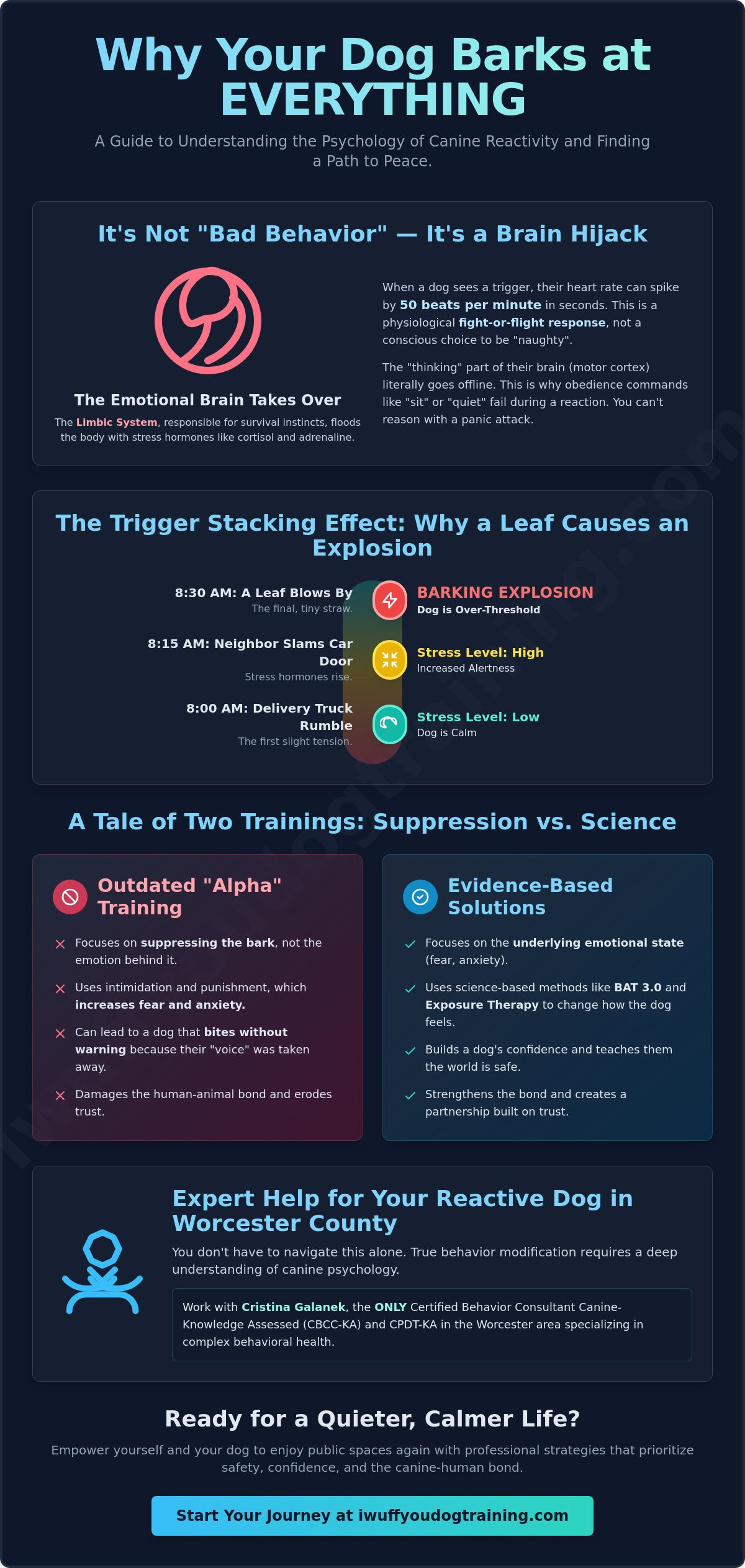 'My Dog Barks at Everything': A Guide for Discouraged Worcester Dog Parents