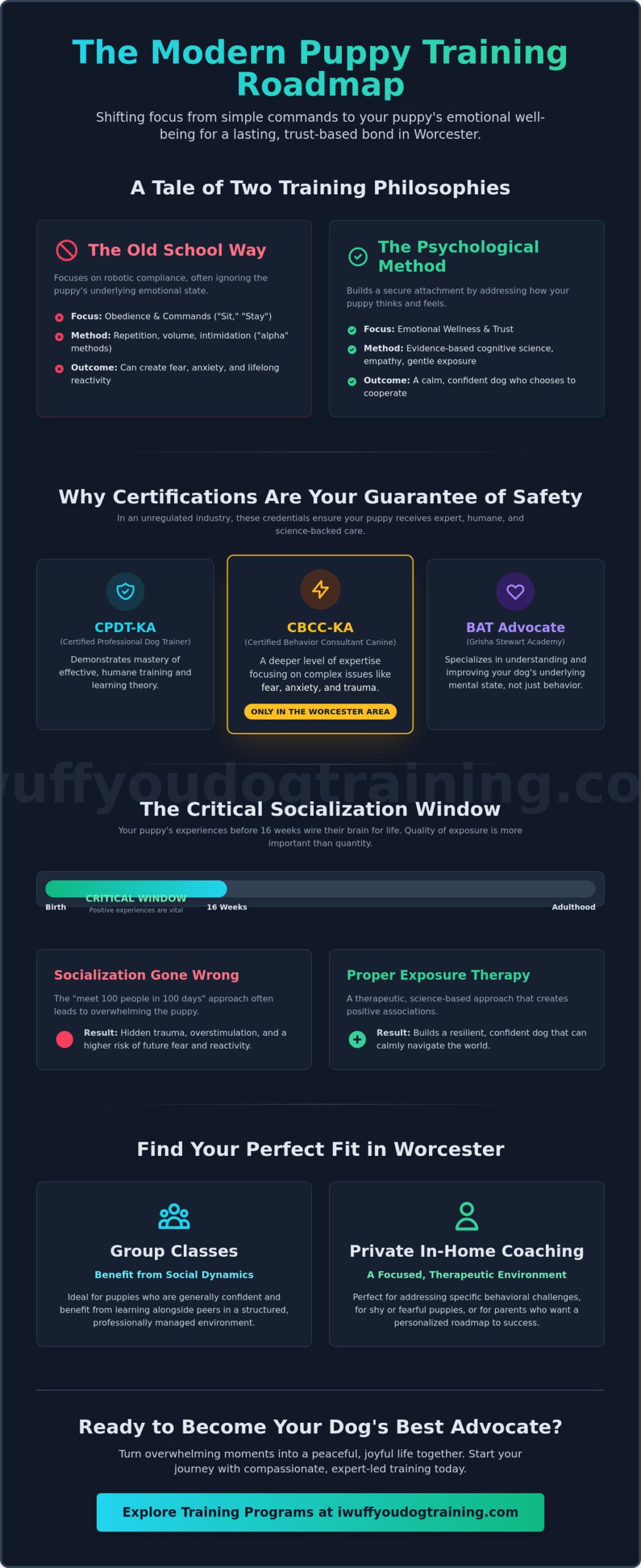 Puppy Classes Near Me in Worcester: A Science-Based Guide to Training Your New Best Friend