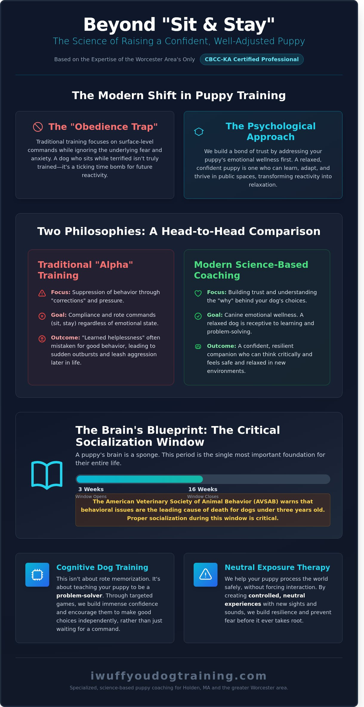 Puppy Training in Holden, MA: A Science-Based Guide to Raising a Confident Dog