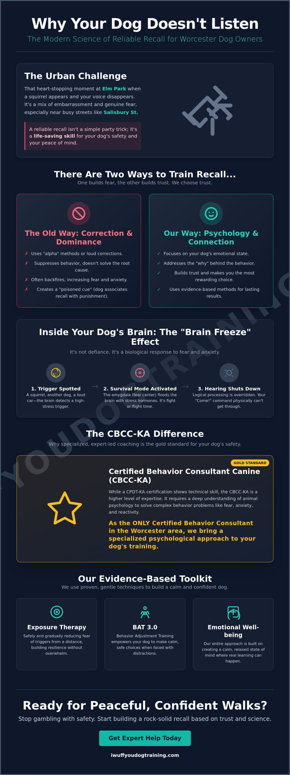 Reliable Recall Training in Worcester, MA: A Science-Based Guide for Dog Parents