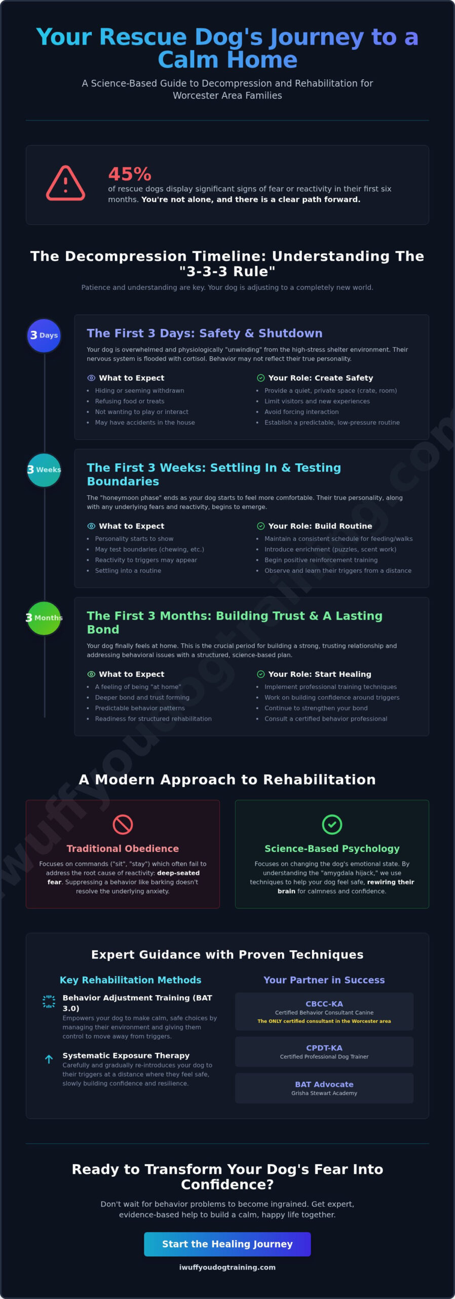 Rescue Dog Rehabilitation in Worcester, MA: A Compassionate Guide for New Dog Parents