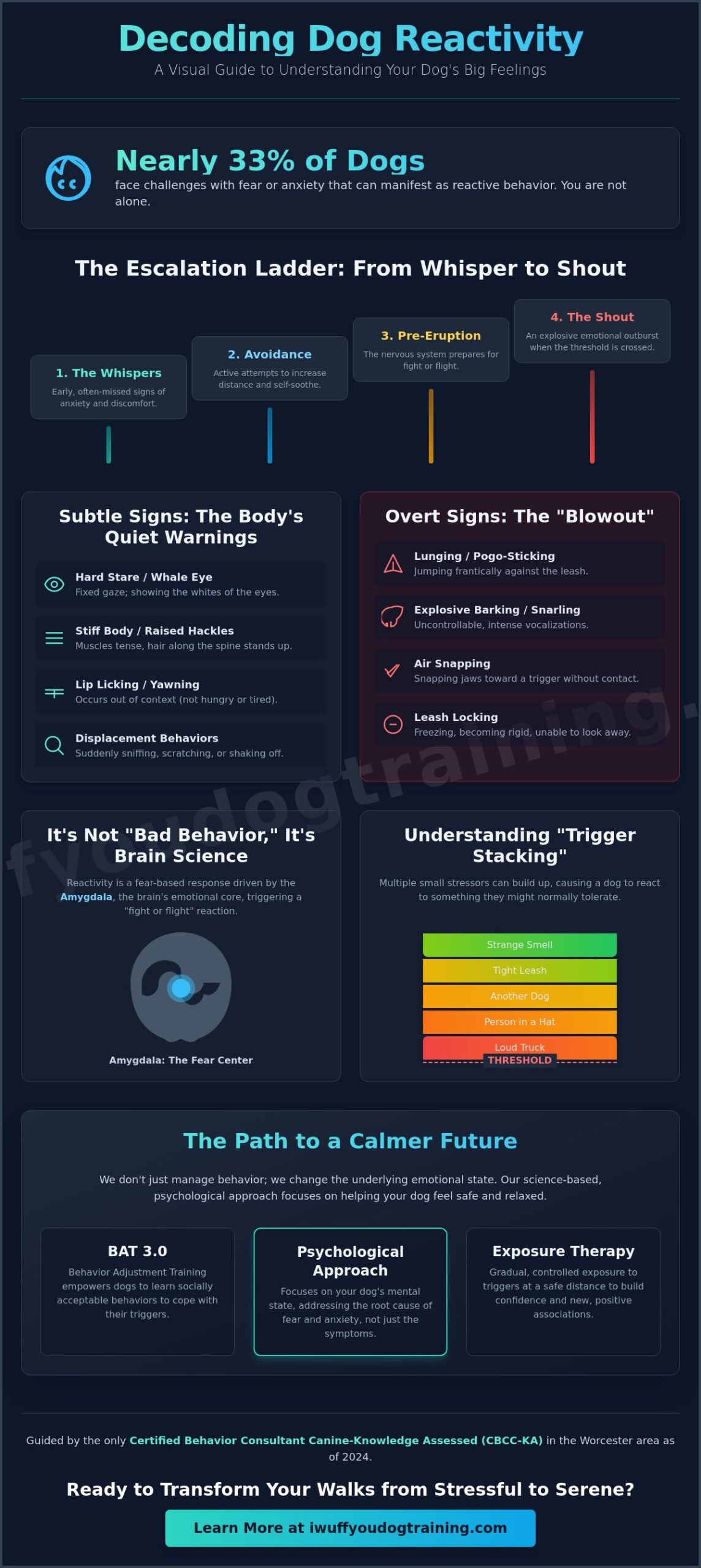 Signs of Dog Reactivity: A Compassionate Guide for Worcester & Holden Dog Parents